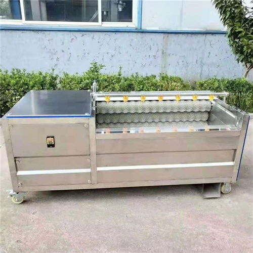 毛辊清洗机批发 诸城源晟机械 河南毛辊清洗机