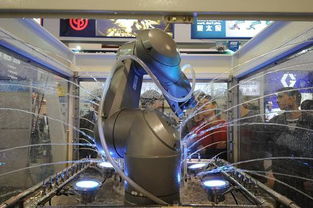 第十七届台交会 新浪厦门